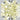 1.01 Carat RADIANT W-X Diamond
