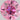 0.08 Carat ROUND FANCY VIVID  PINK Diamond