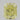 1.61 Carat RADIANT Fancy Yellow Diamond