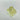 1.50 Carat RADIANT Fancy Light Yellow Diamond