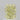1.01 Carat RADIANT W-X Diamond