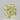 1.01 Carat CUSHION Y-Z Diamond