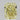 2.01 Carat RADIANT FANCY YELLOW  Diamond