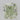 1.22 Carat CUSHION FANCY YELLOW-GREEN  Diamond