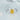 SG-10664-JR-
