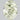 1.05 Carat OVAL FANCY YELLOW-GREEN  Diamond