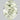 1.05 Carat OVAL FANCY YELLOW-GREEN  Diamond