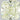 2.03 Carat CUSHION LIGHT GREEN-YELLOW  Diamond