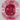 0.17 Carat CUSHION Fancy Vivid Purplish Pink Diamond