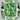 0.24 Carat CUSHION FANCY VIVID GREEN  Diamond