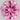 0.15 Carat ROUND FANCY VIVID PURPLISH PINK Diamond