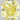 1.01 Carat RADIANT FANCY INTENSE  YELLOW Diamond