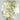 0.29 Carat CUSHION FANCY GRAYISH YELLOWISH GREEN Diamond